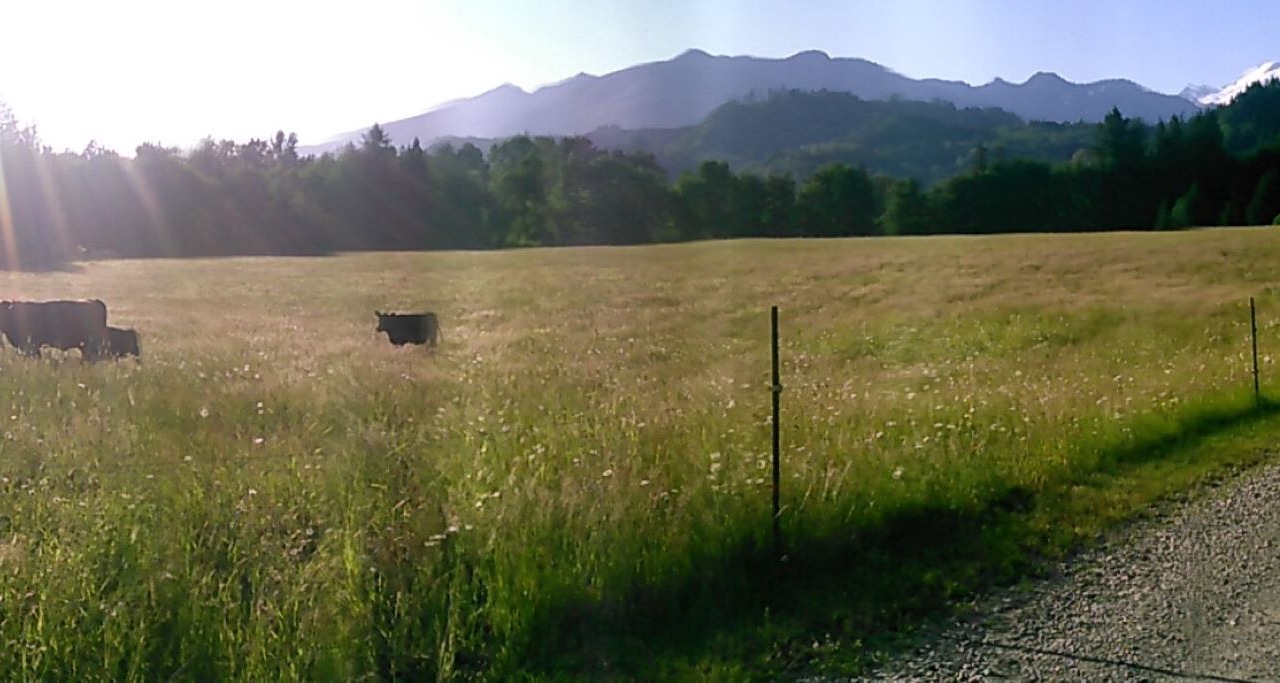 Photo of Others in Concrete