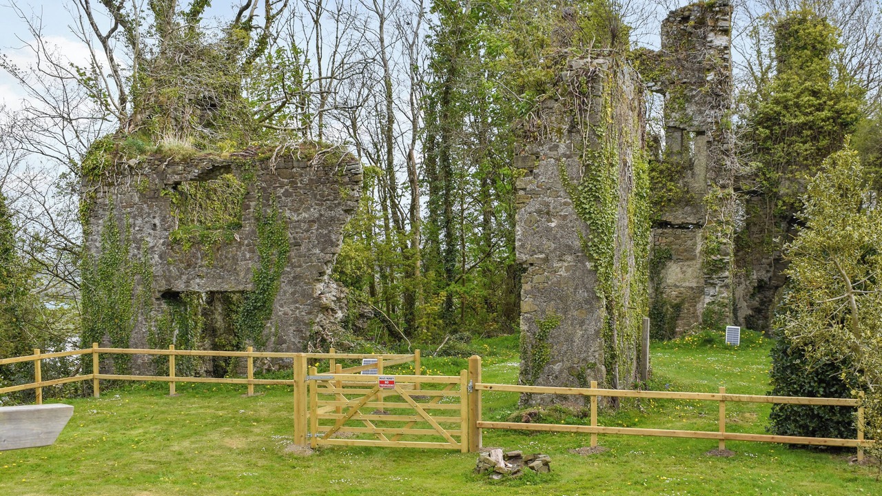 Photo of Others in Llangain