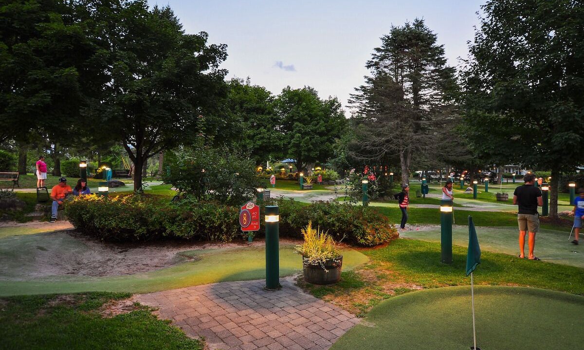 Photo of Others in Stowe Area