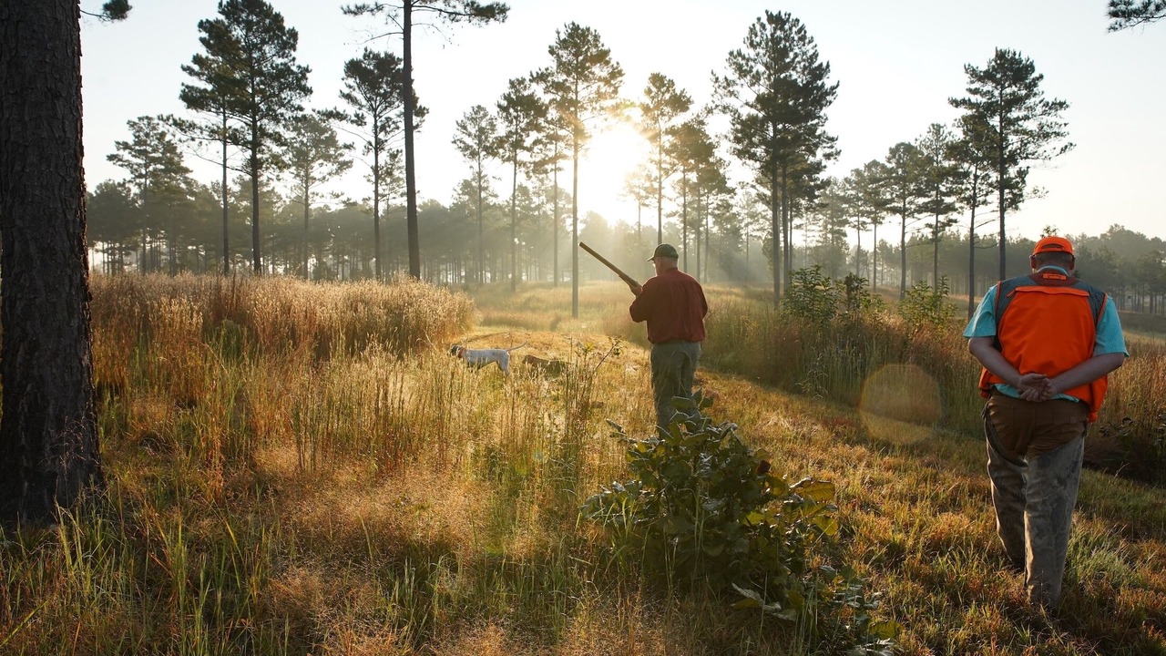 Photo of Others in Mount Berry