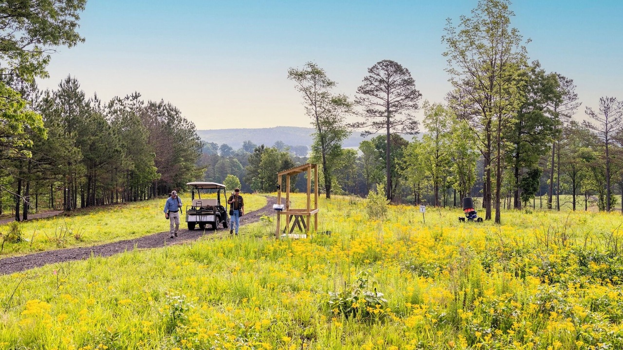 Photo of Others in Mount Berry