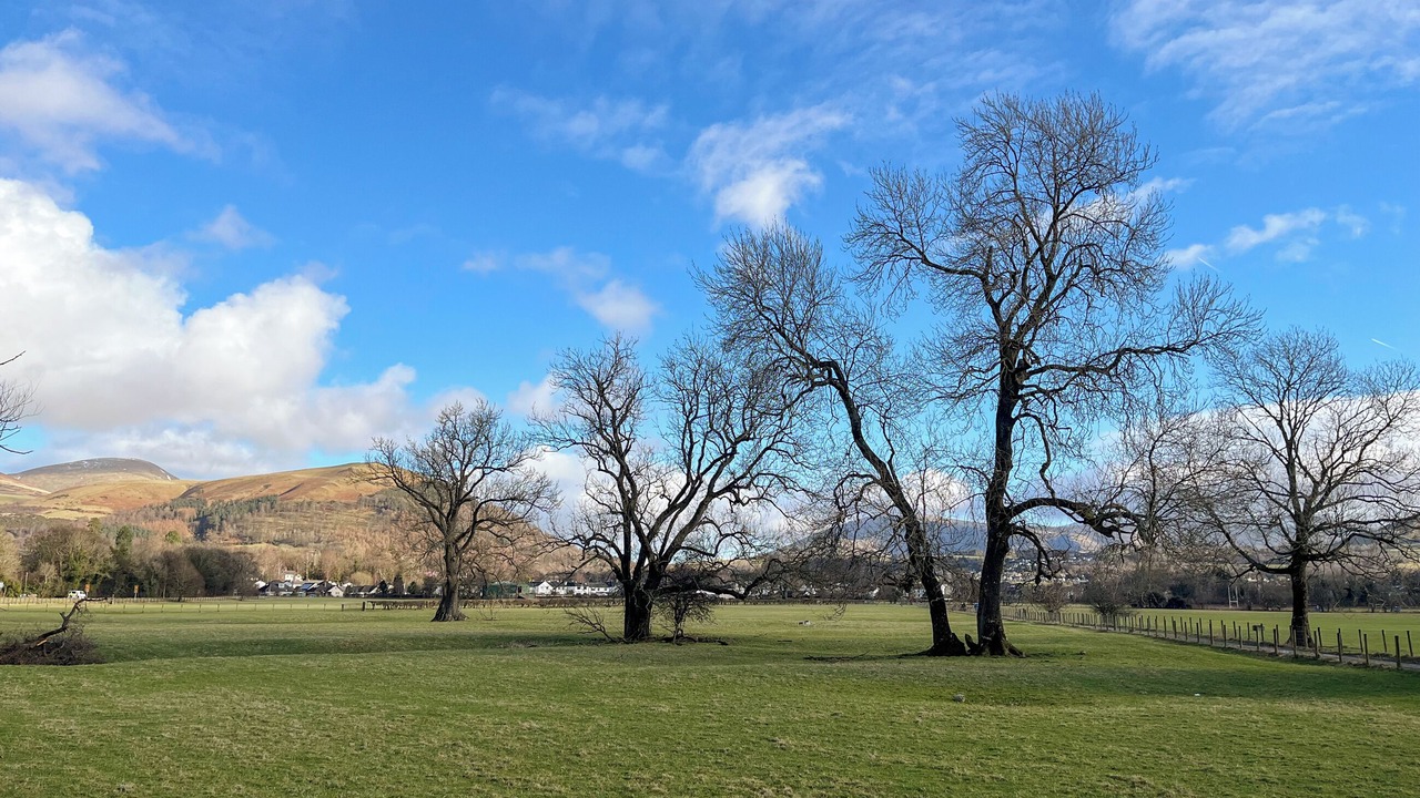 Photo of Others in Portinscale