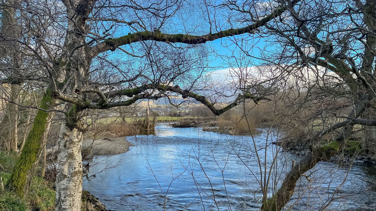 Photo of Others in Portinscale