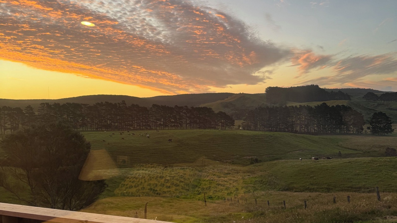 Photo of Outdoor in Helensville