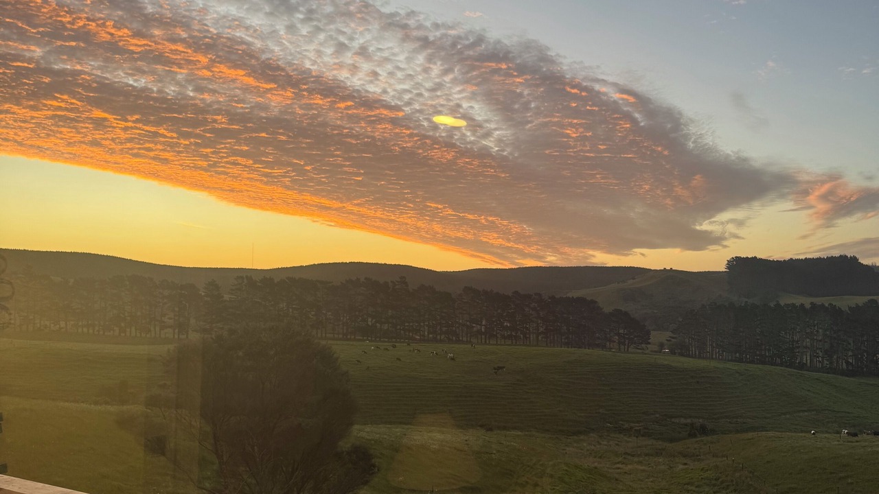 Photo of Outdoor in Helensville