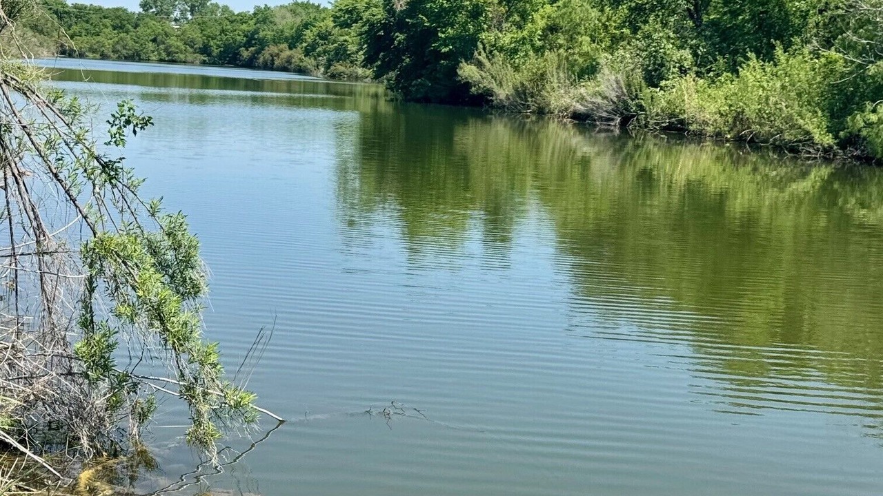 Photo of Others in Farmers Branch