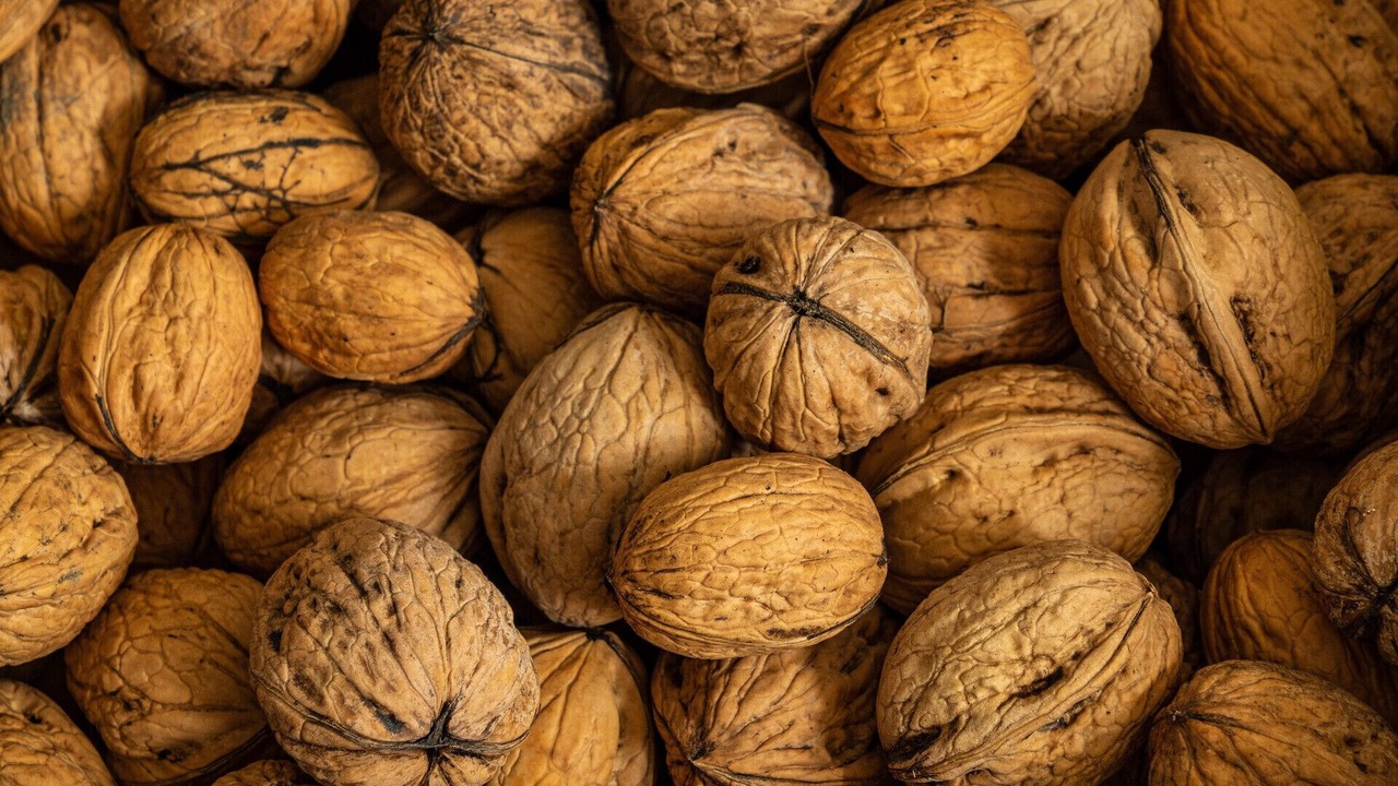 Photo of Others in Secteur 2