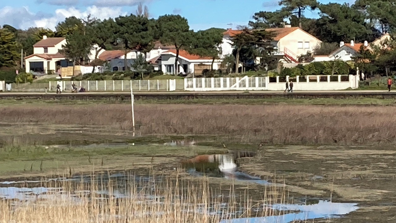 Photo of Others in Saint-Brevin-les-Pins