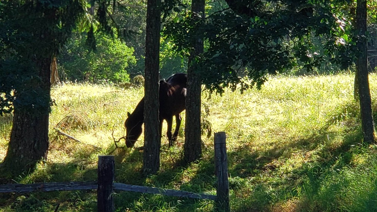 Photo of Others in Salem