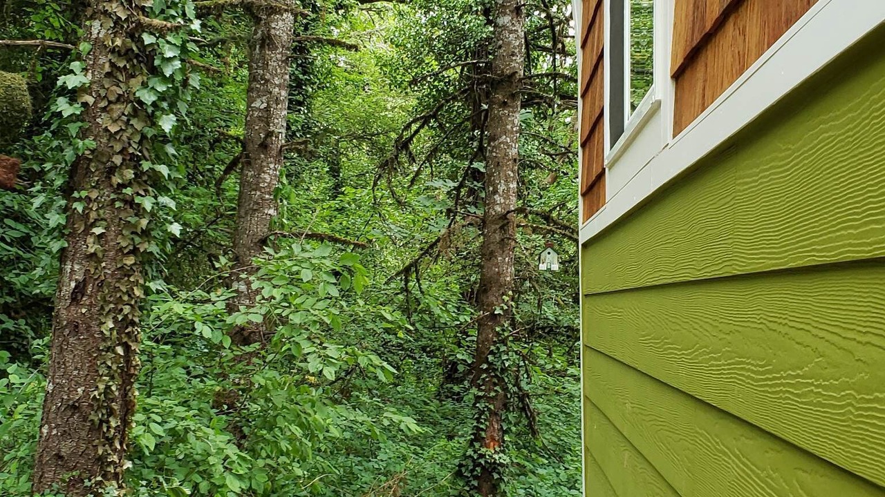 Photo of Outdoor in Salem