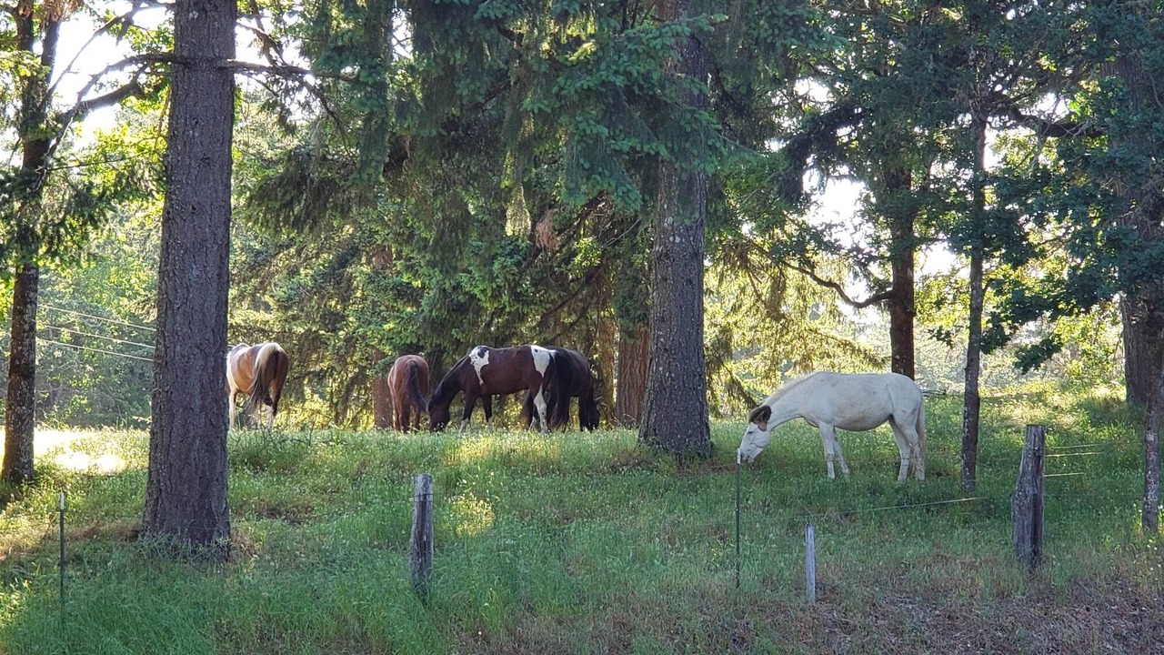 Photo of Others in Salem