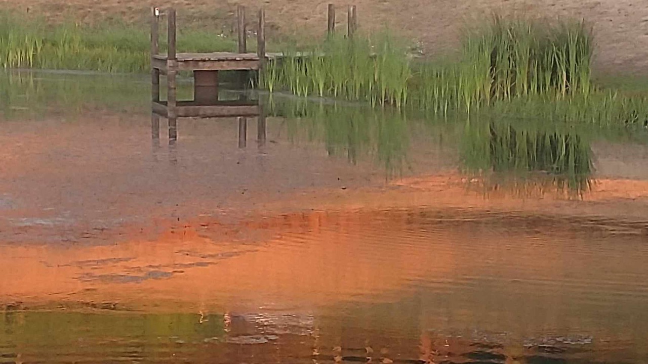 Photo of Others in Salem