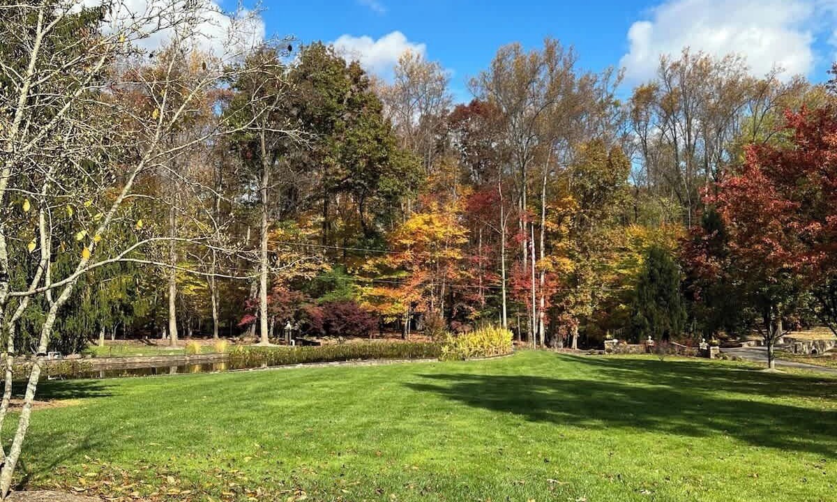 Photo of Outdoor in Tuscarora