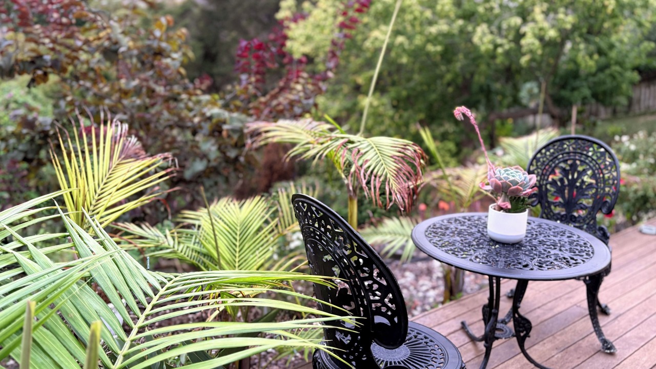 Photo of Outdoor in St. Heliers