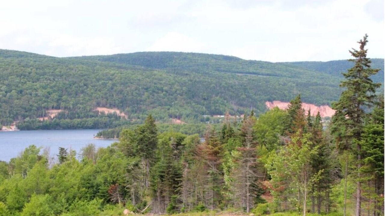 Photo of Others in Boularderie