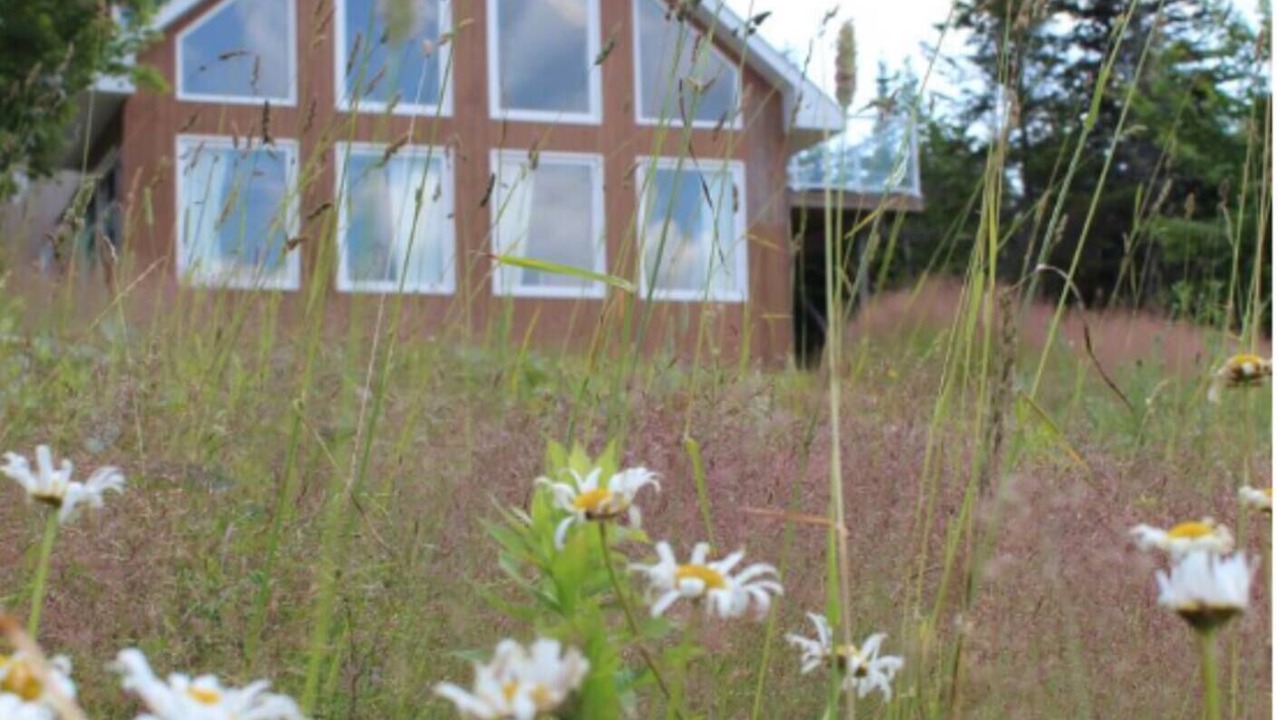 Photo of Outdoor in Boularderie