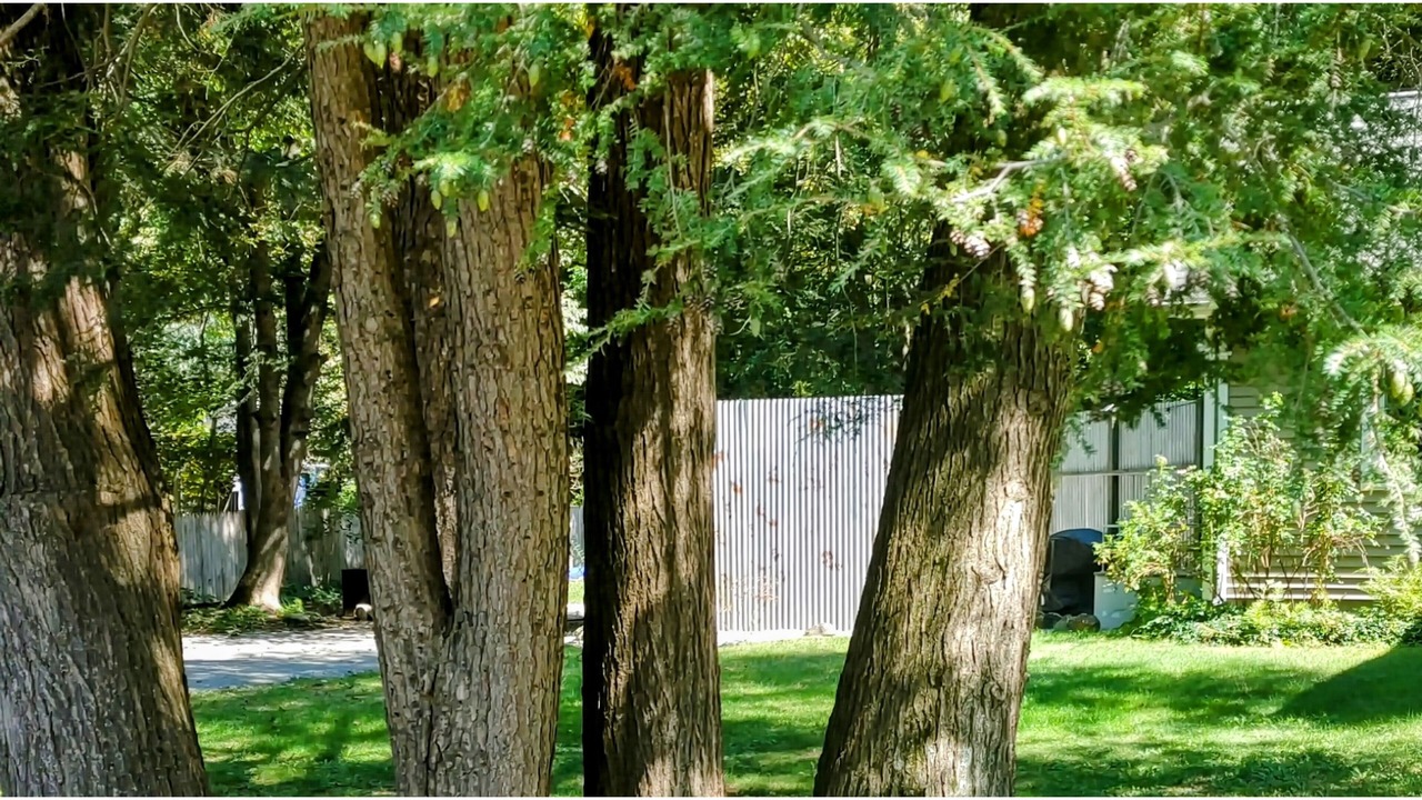 Photo of Others in Amherst