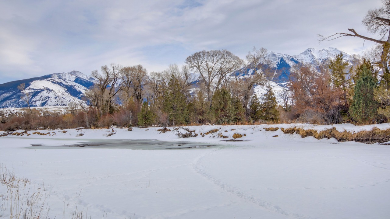 Photo of Others in Emigrant