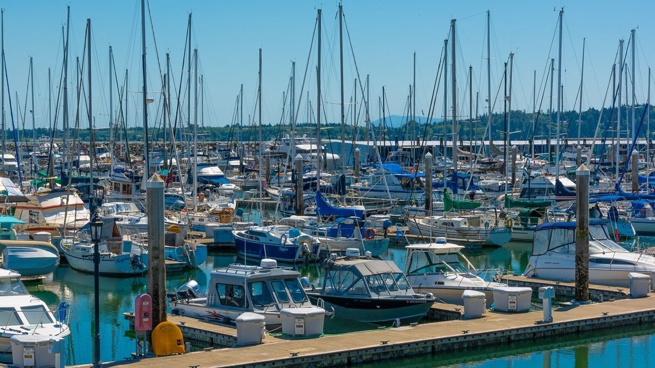 Photo of Others in Blaine