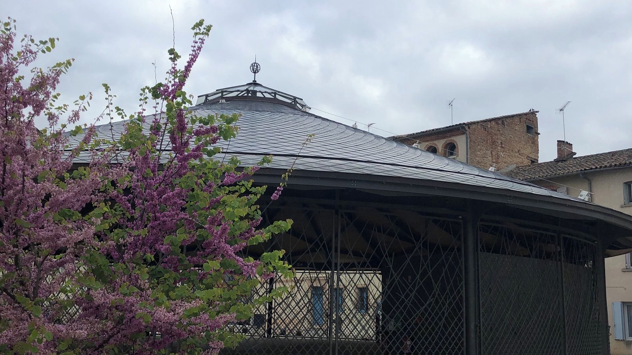 Photo of Outdoor in Caussade