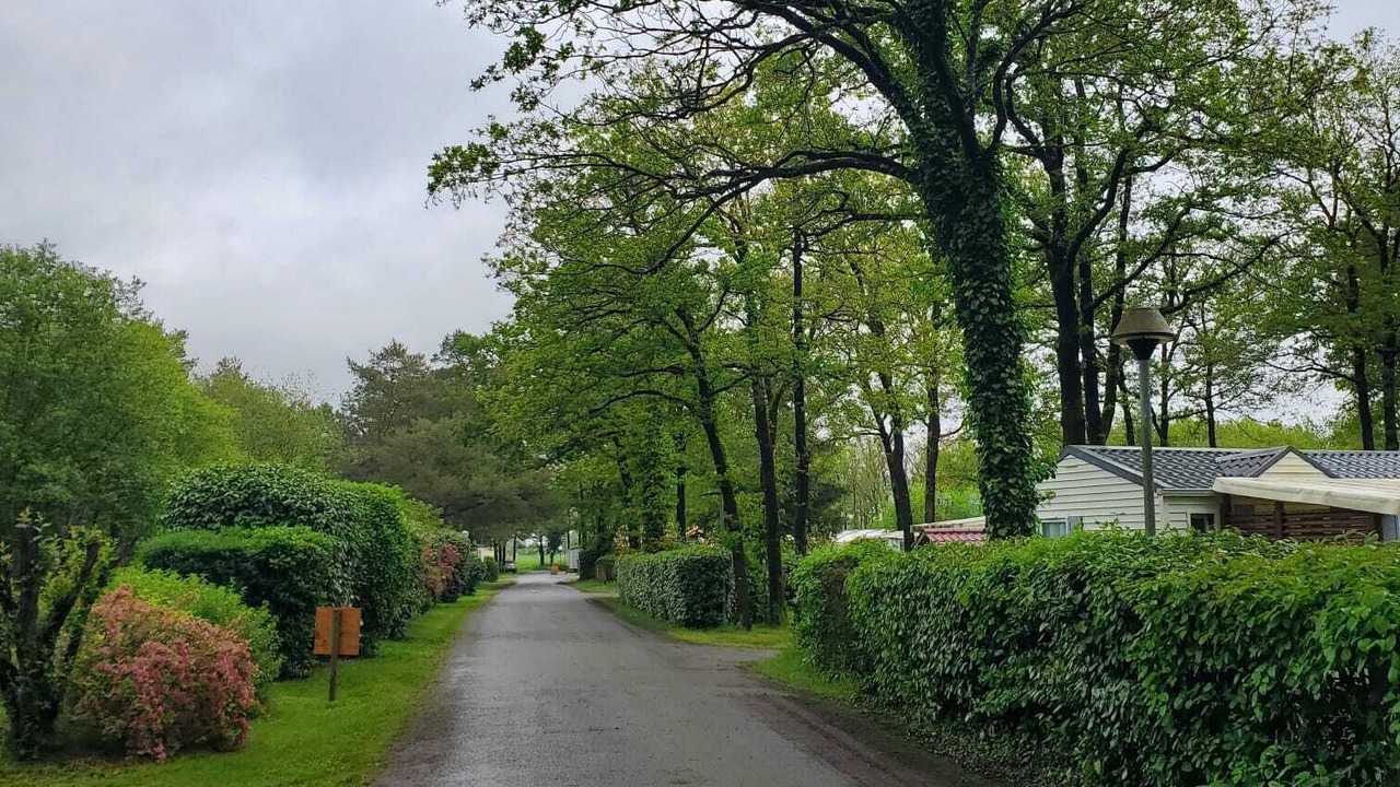 Photo of Others in La Boissiere-de-Montaigu