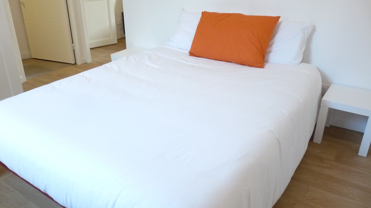 Photo of Bedroom in Amboise