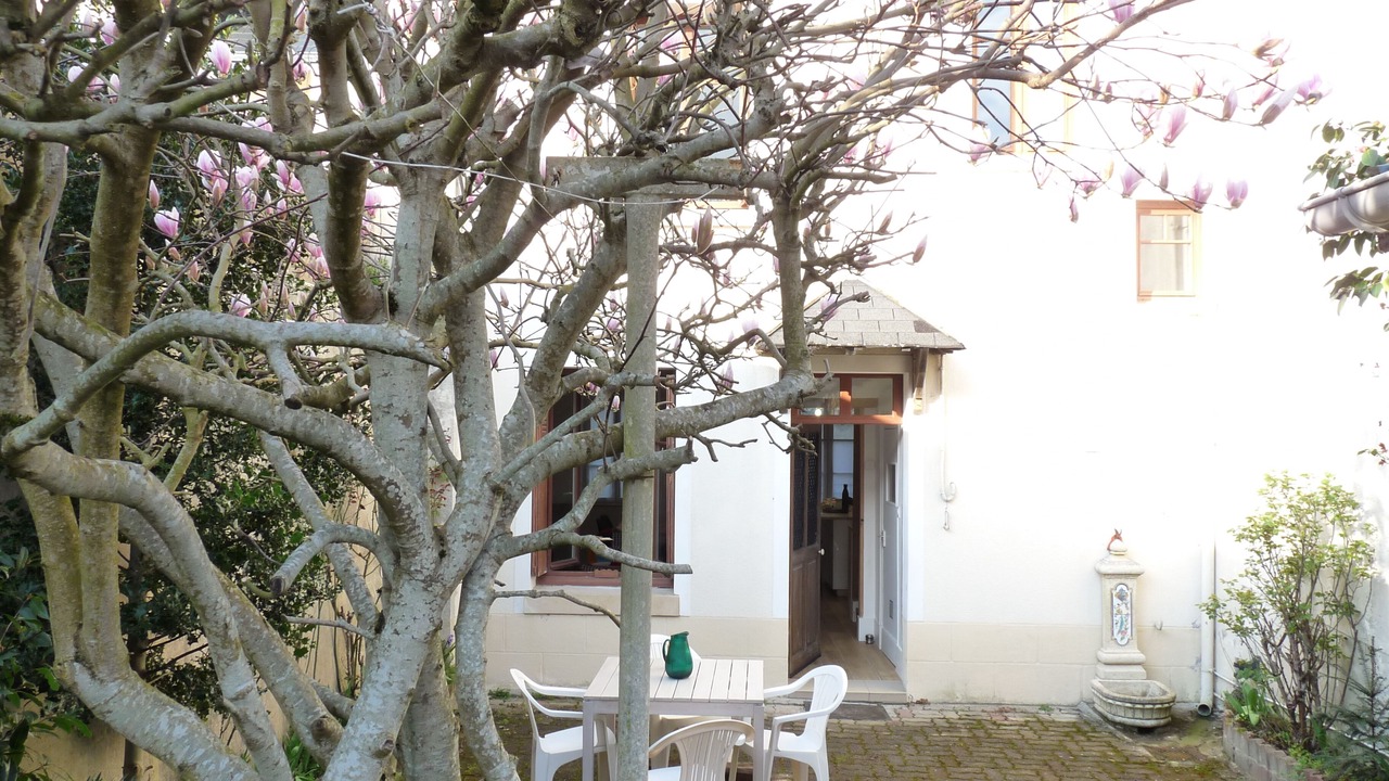Photo of Outdoor in Amboise