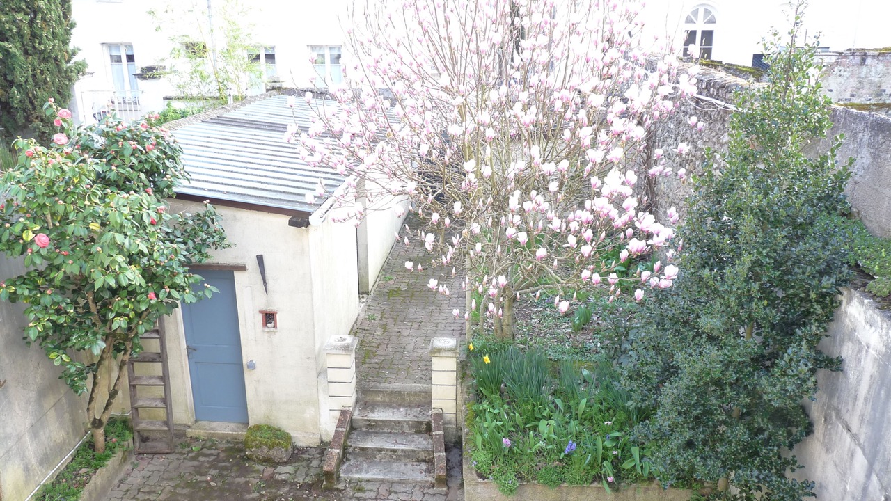 Photo of Outdoor in Amboise