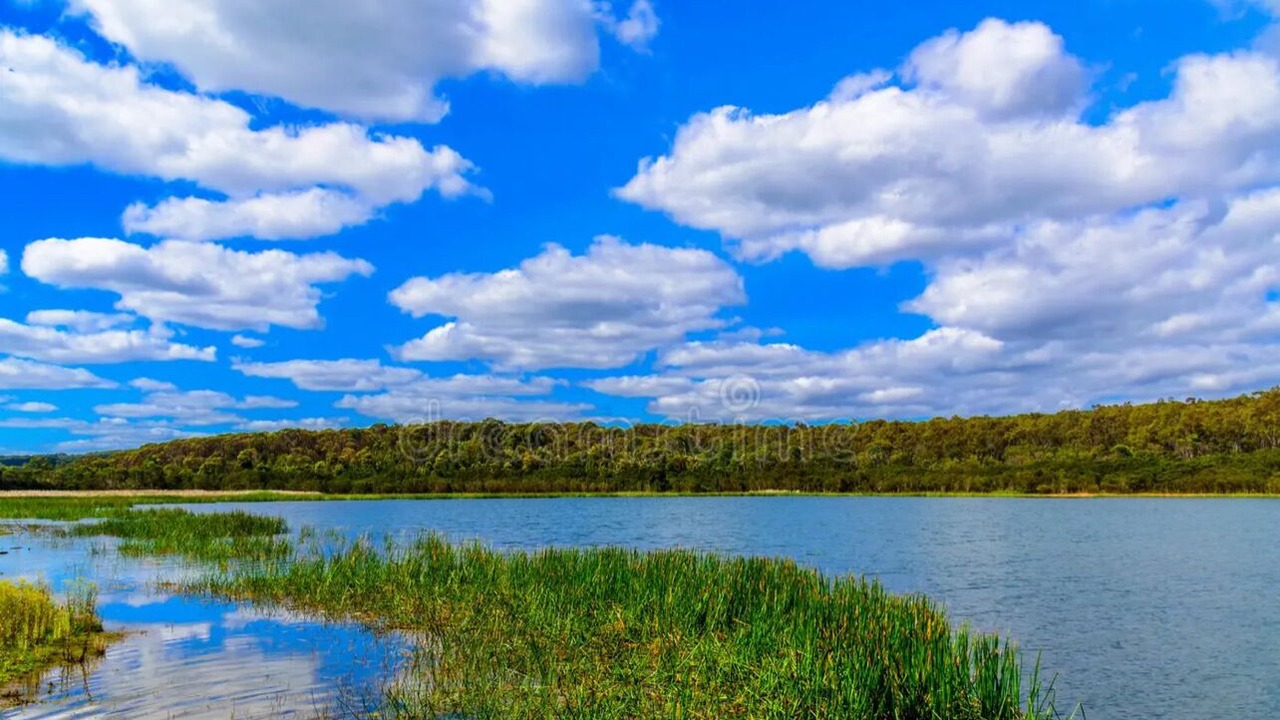 Photo of Others in Endeavour Hills