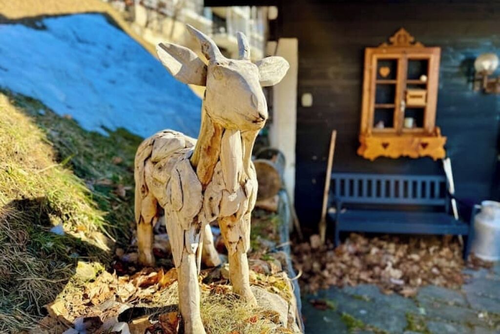 Photo of Outdoor in Gryon