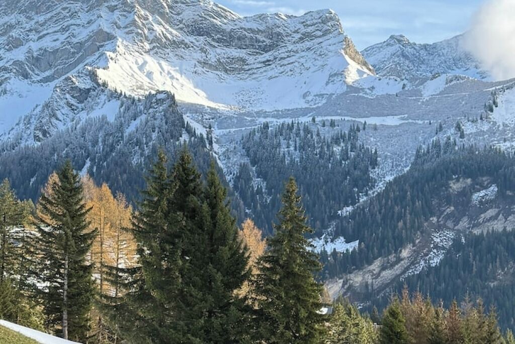 Photo of Others in Gryon