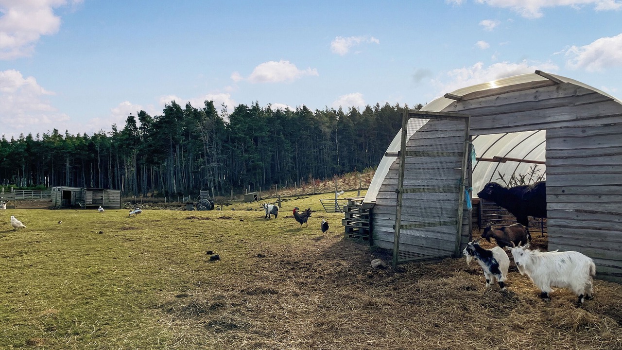 Photo of Outdoor in Forres