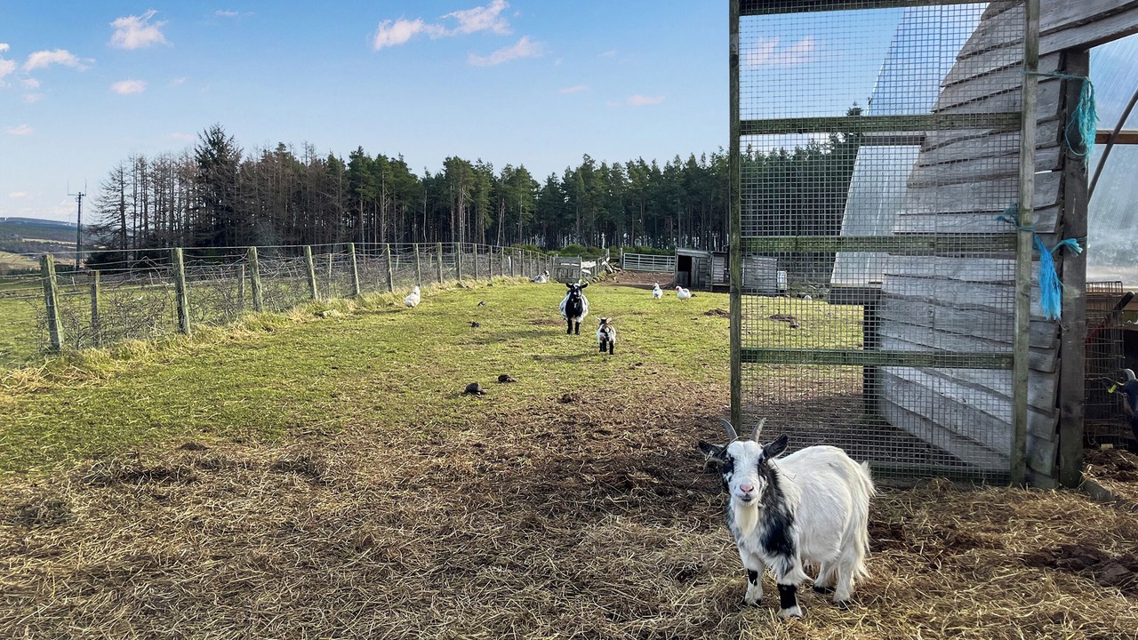 Photo of Outdoor in Forres