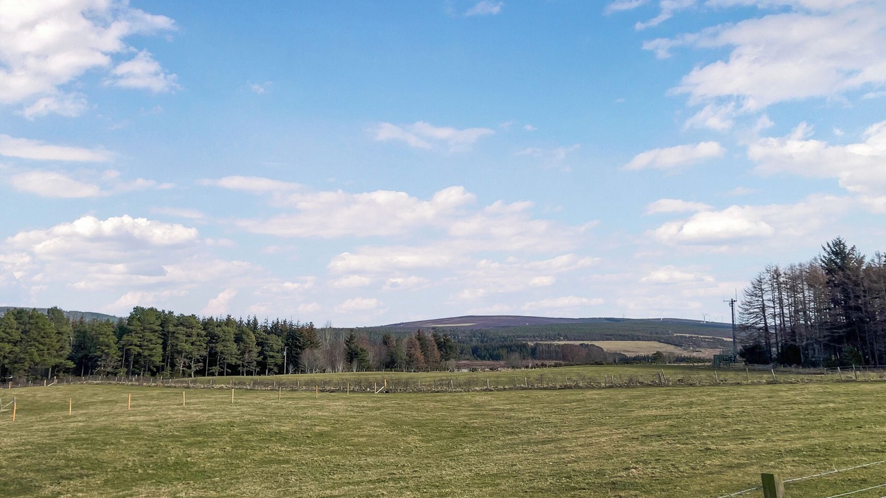 Photo of Outdoor in Forres