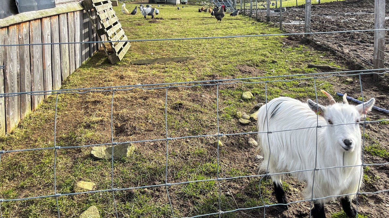 Photo of Outdoor in Forres