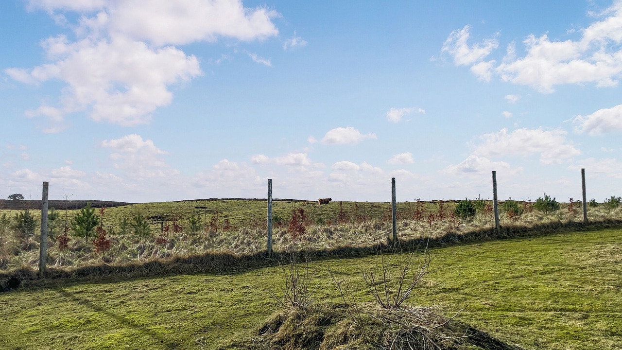 Photo of Outdoor in Forres