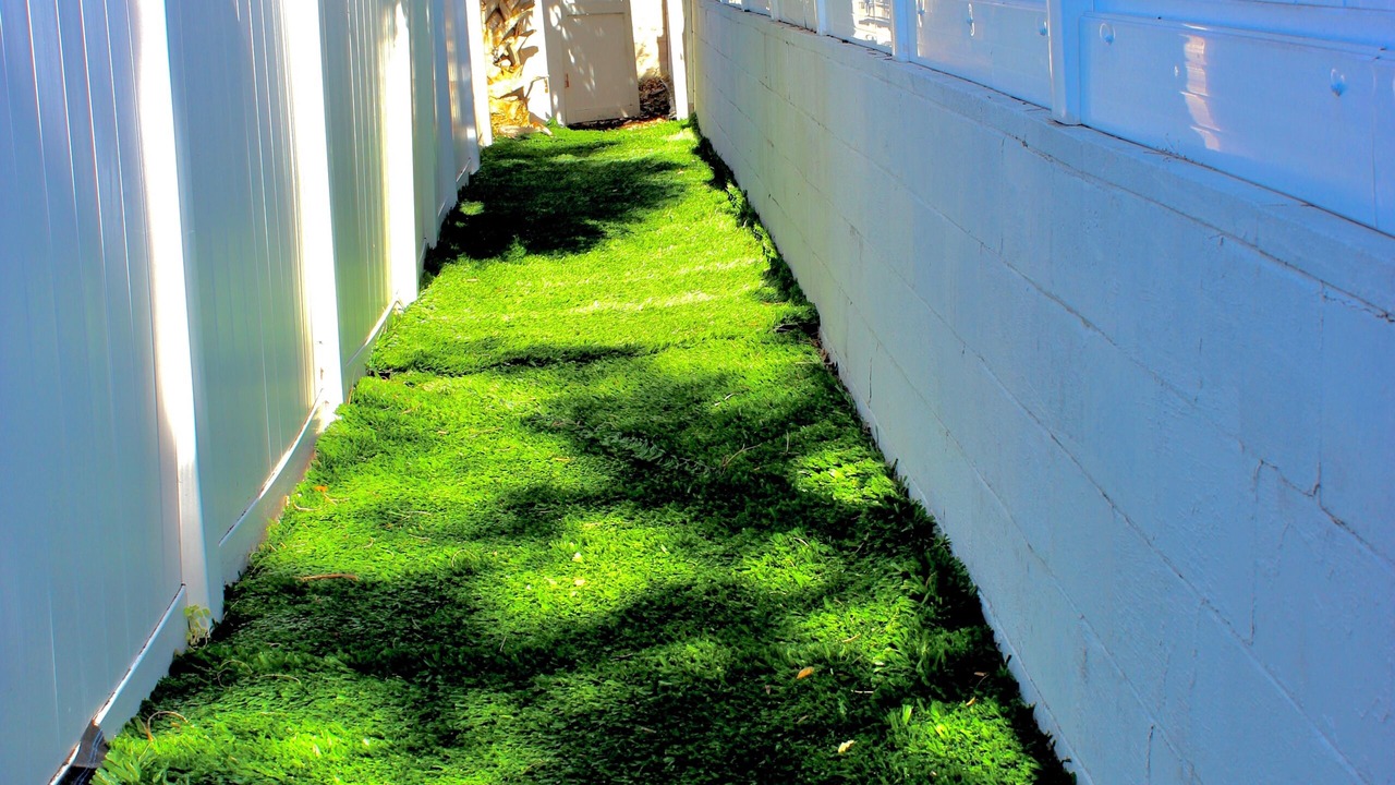 Photo of Outdoor in Fairvilla