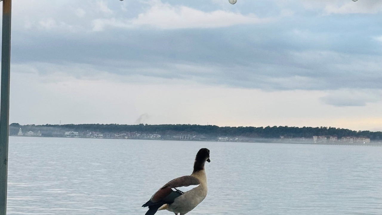 Photo of Outdoor in Willis