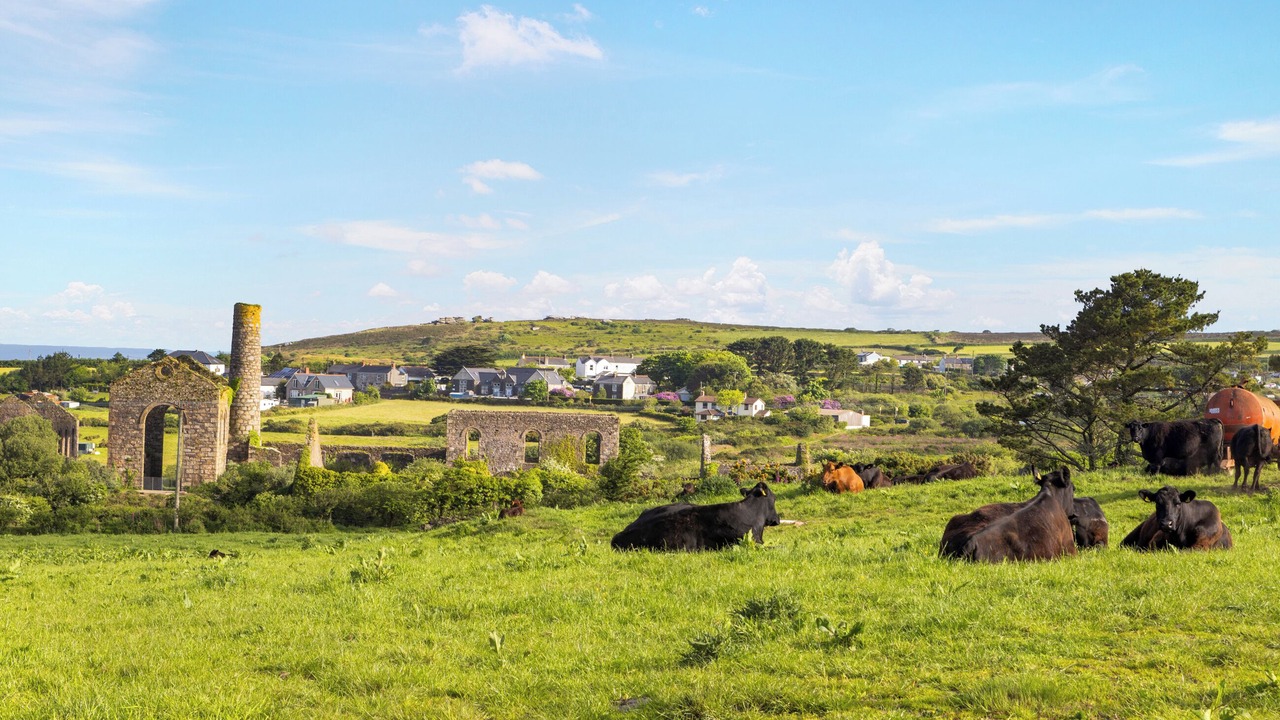 Photo of Others in Carnbrea