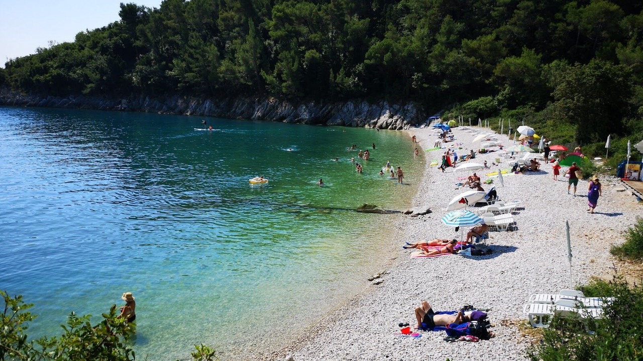Photo of Others in Nedescina