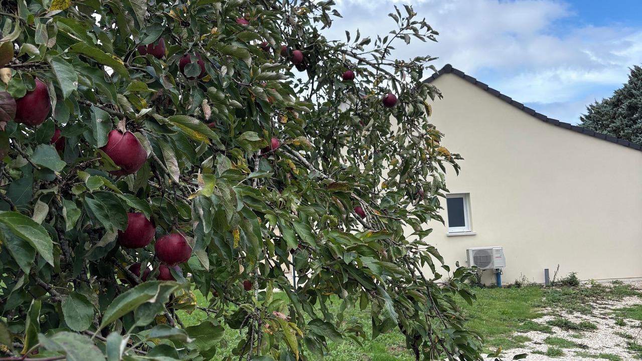 Photo of Outdoor in Saint-Aubin