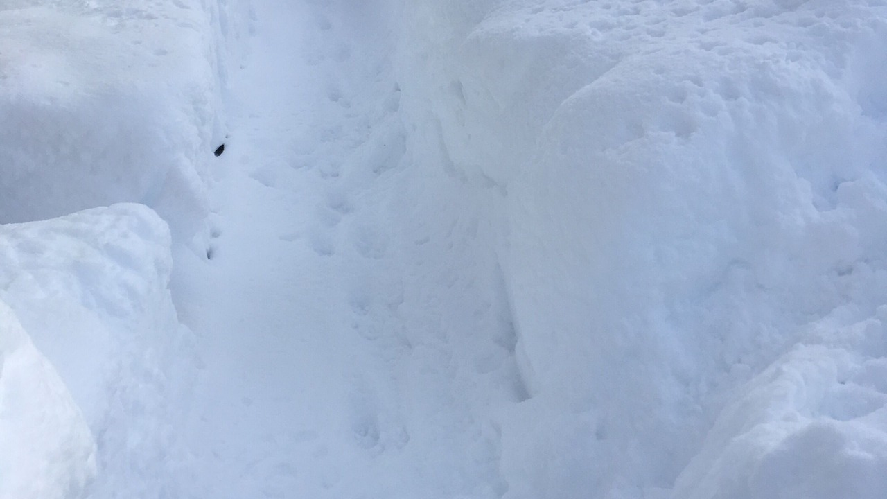 Photo of Outdoor in Sent