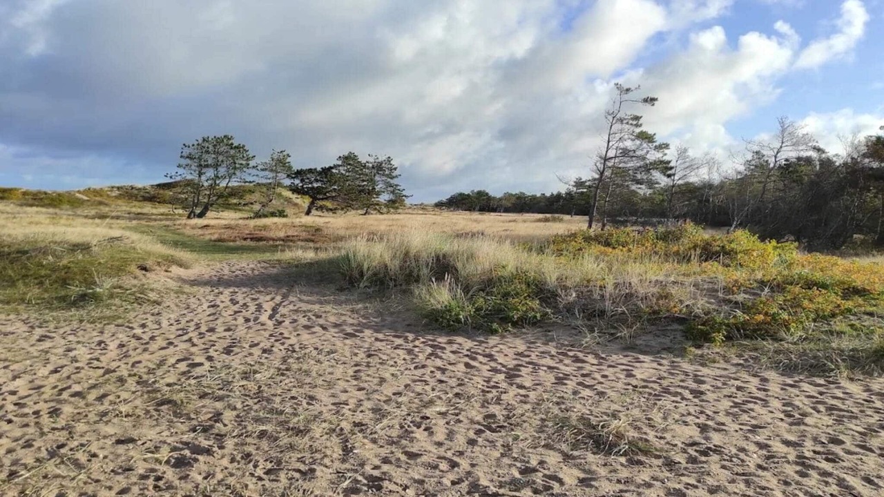 Photo of Others in Vejby