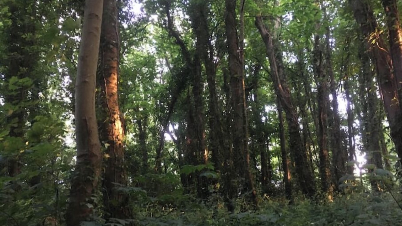 Photo of Others in Newhaven