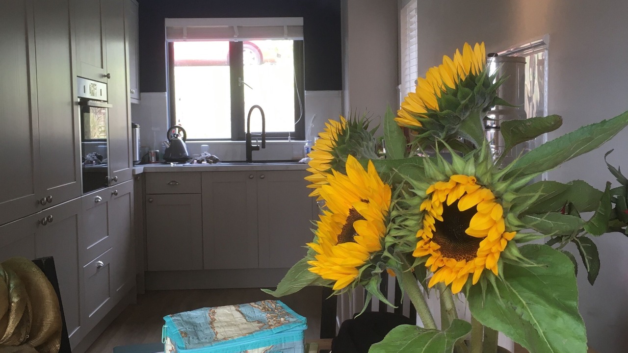 Photo of Others in Newhaven