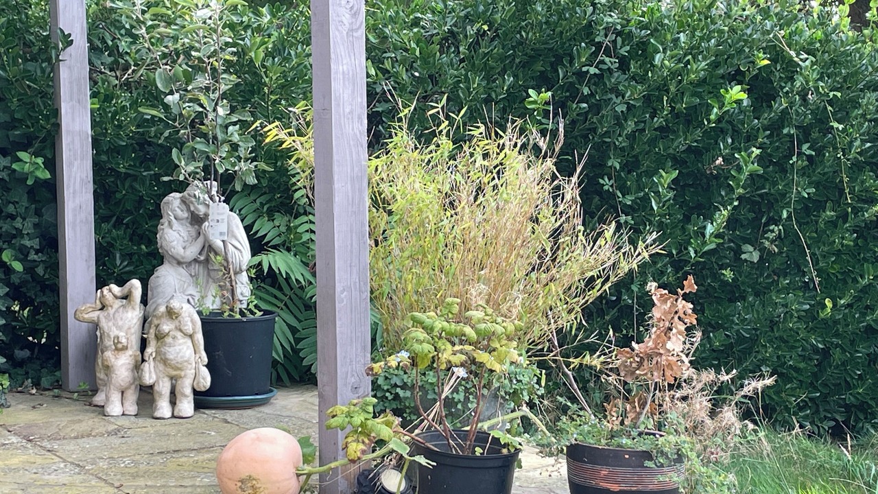 Photo of Outdoor in Newhaven