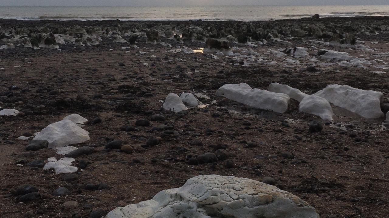 Photo of Others in Newhaven