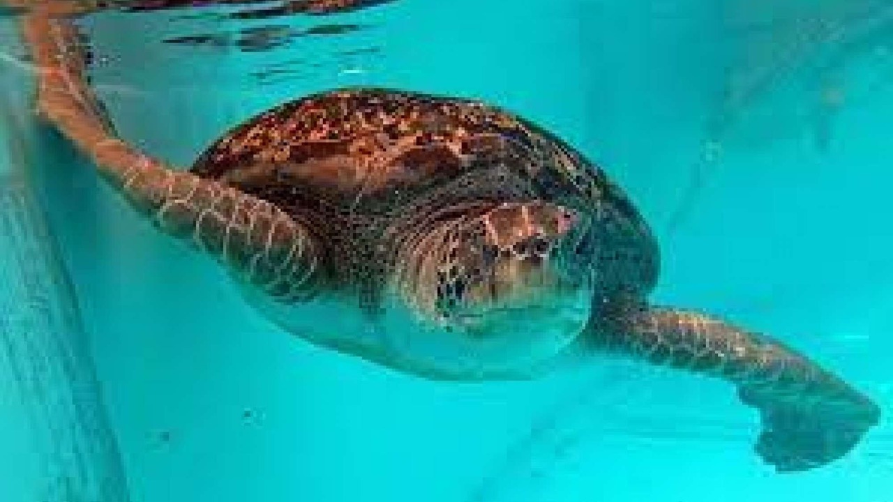 Photo of Others in Marathon