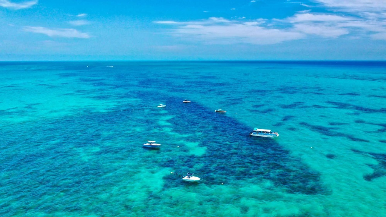 Photo of Others in Marathon