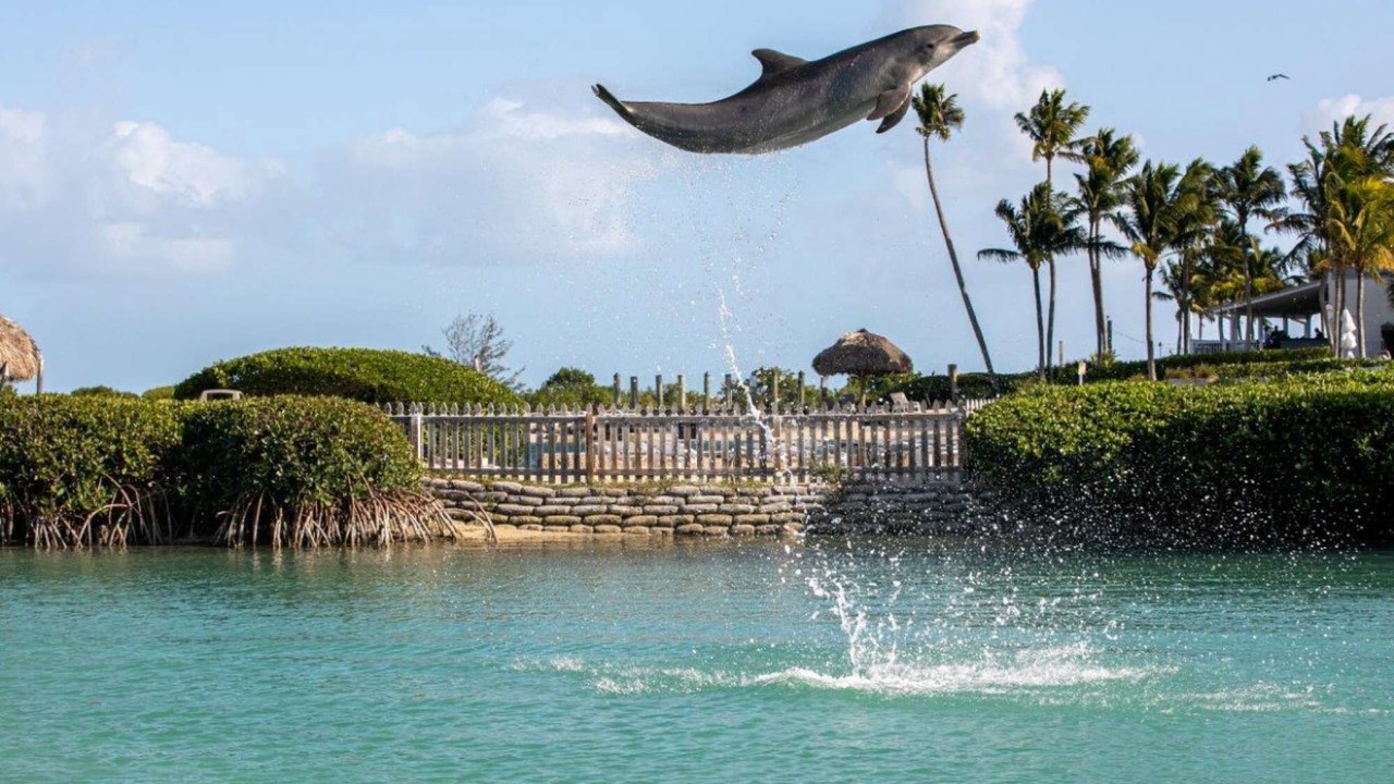 Photo of Others in Marathon